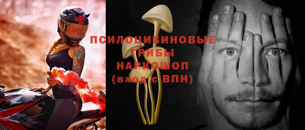 тгк Семилуки