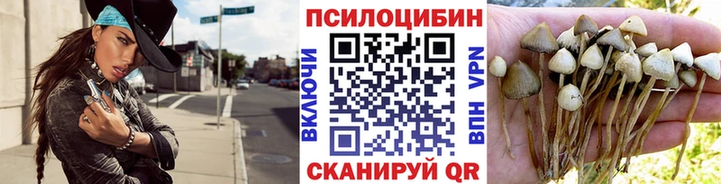 хочу   Сенгилей  Галлюциногенные грибы мицелий 